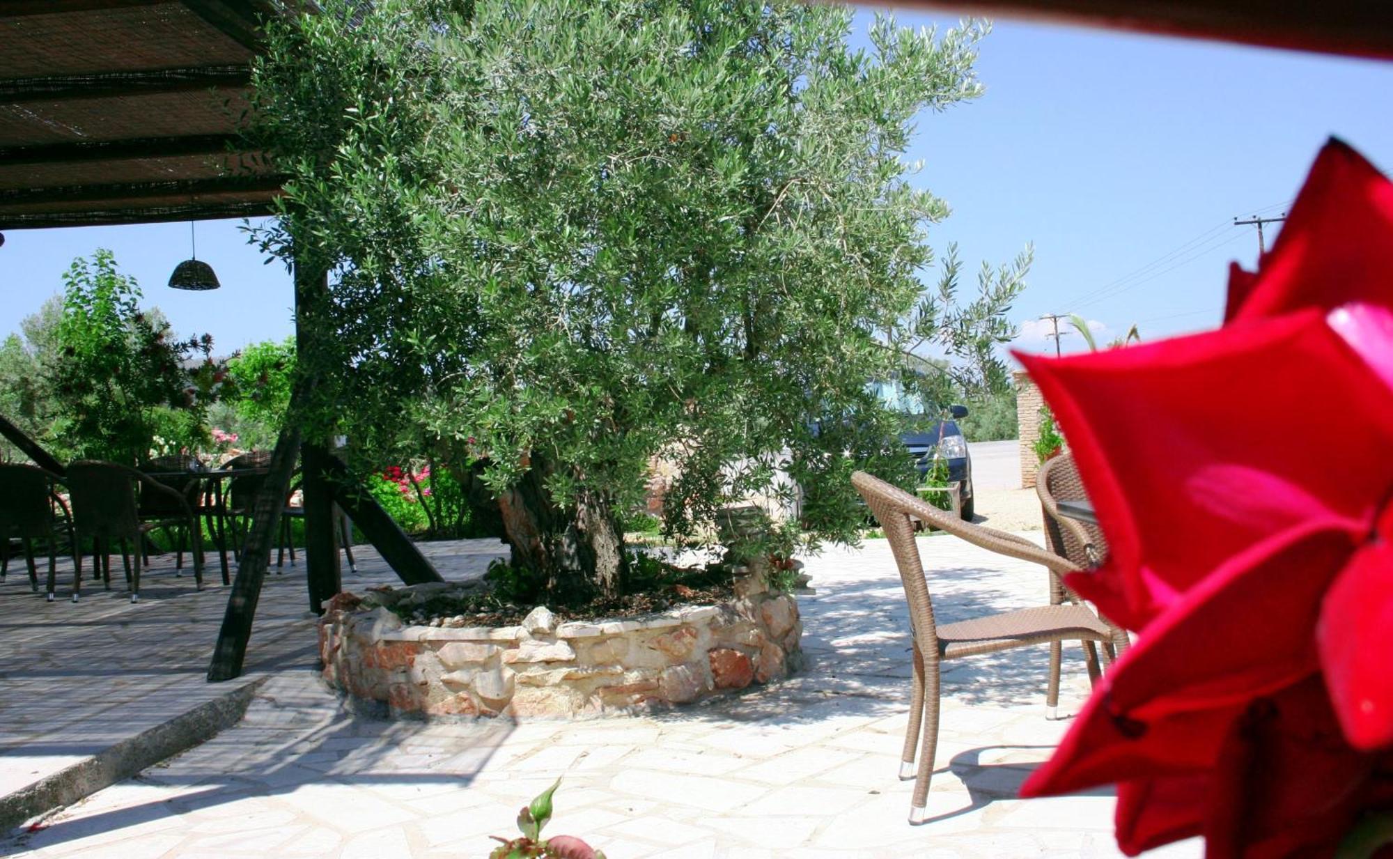 Hani Inn Ligourio Exterior foto