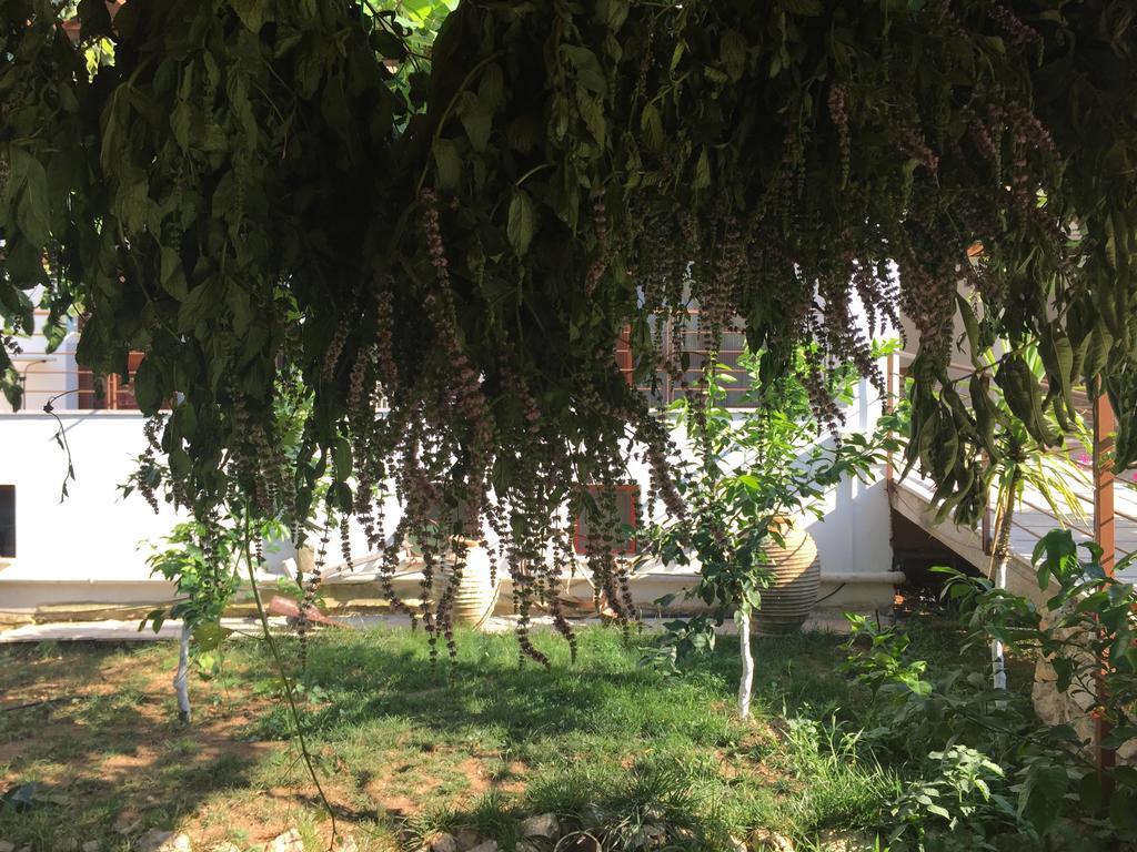 Hani Inn Ligourio Exterior foto